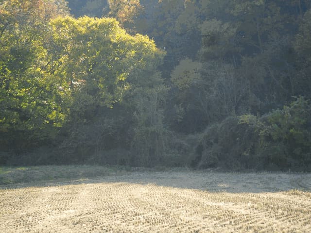 B000312202501300005754.jpg
