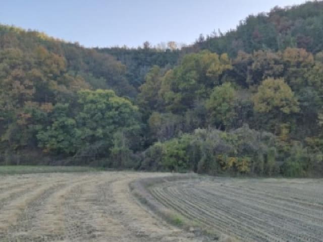 B000312202501300005751.jpg