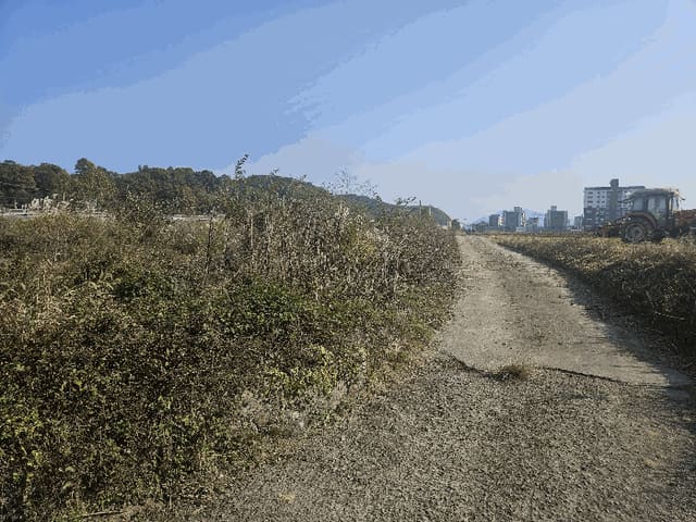 B000312202501300005774.jpg