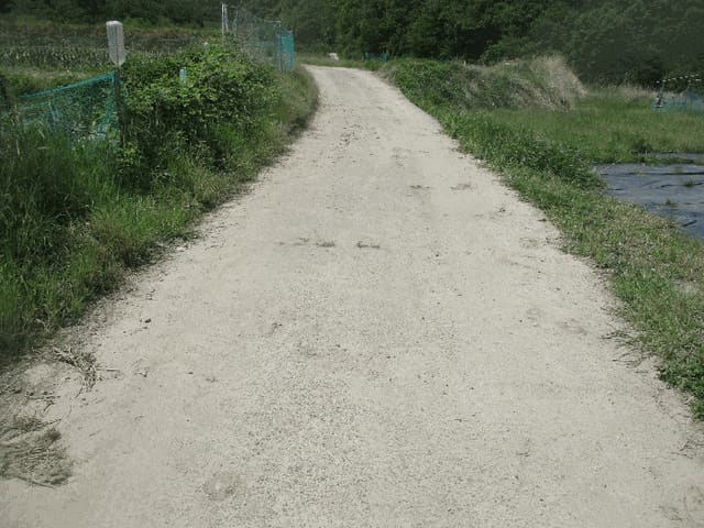 B000312202501300005884.jpg