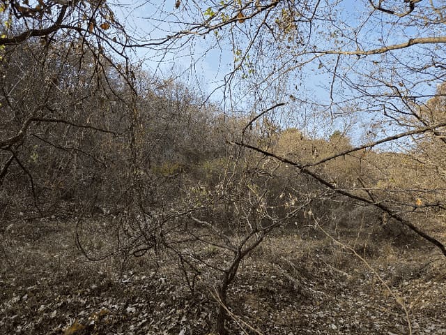 B000312202501300005894.jpg