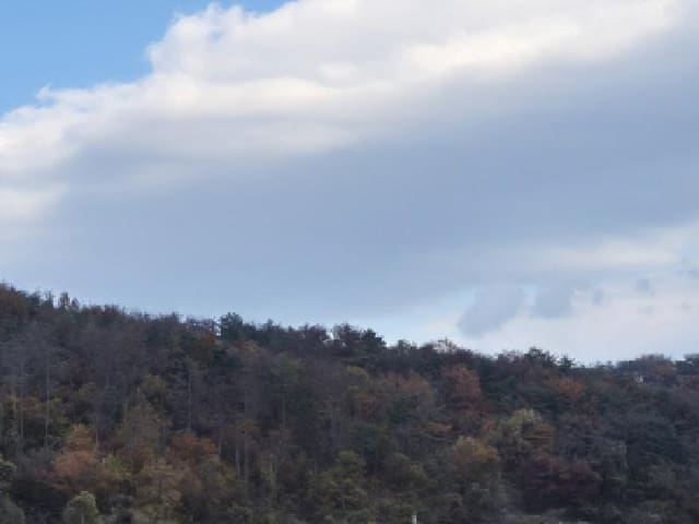 B000312202501300005891.jpg