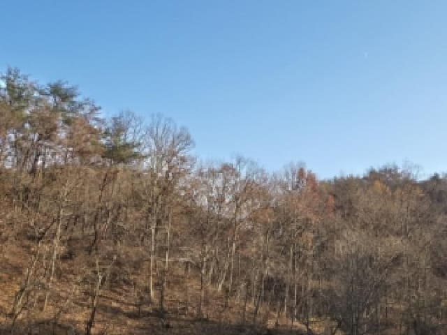 B000312202501300005922.jpg
