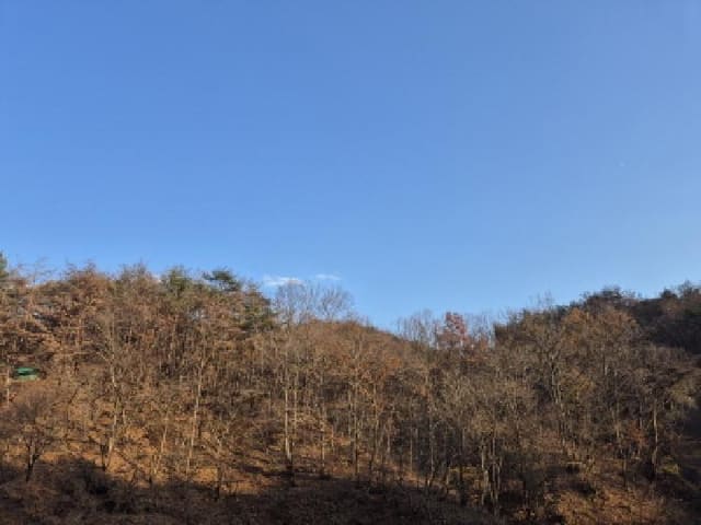 B000312202501300005921.jpg