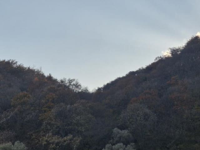 B000312202501300005923.jpg