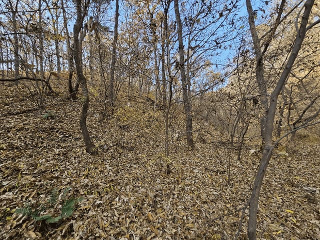 B000312202501300005924.jpg