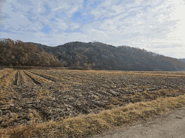 B000312202501300005941.jpg