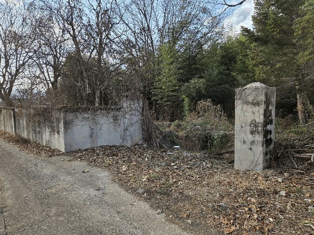 B000312202501300006043.jpg