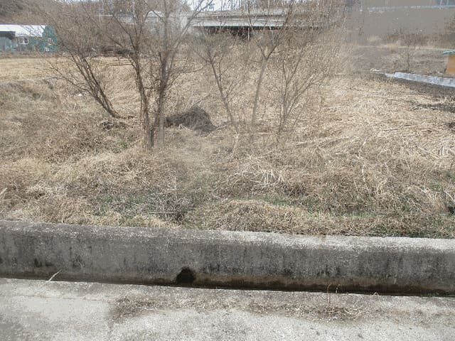 B000312202501300006143.jpg
