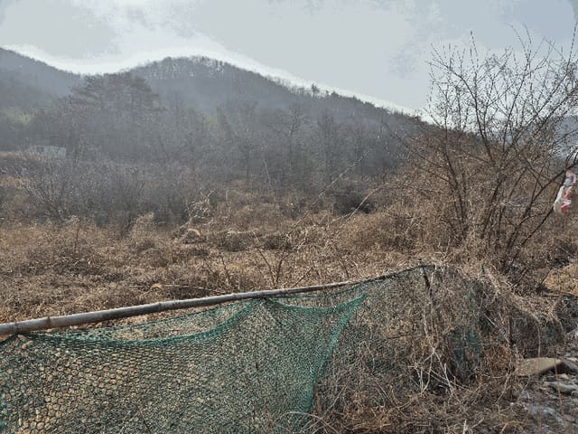 B000312202501300006173.jpg