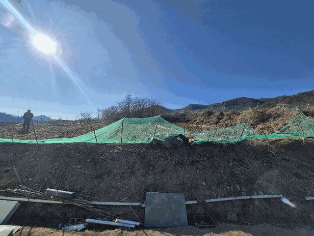 B000312202501300006203.jpg