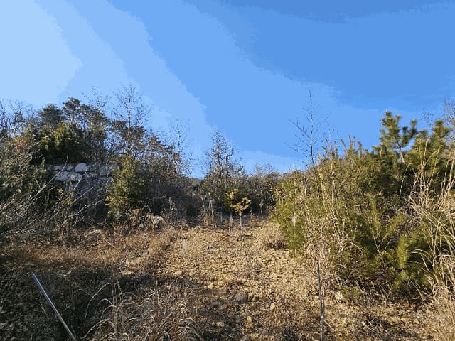 B000312202501300102384.jpg