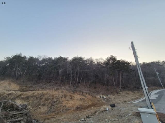 B000312202501300103794.jpg