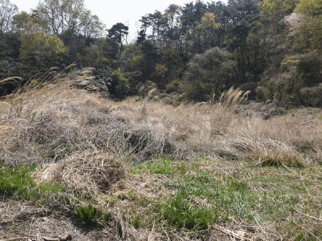 B000312202501300104514.jpg