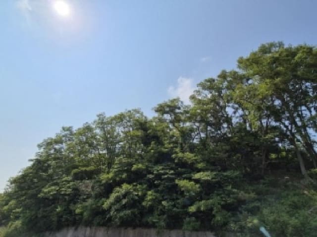 B000312202501300105151.jpg