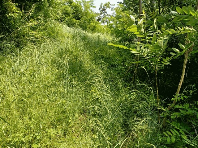 B000312202501300105154.jpg