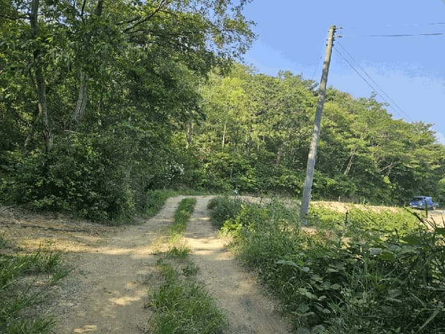 B000312202501300105242.jpg