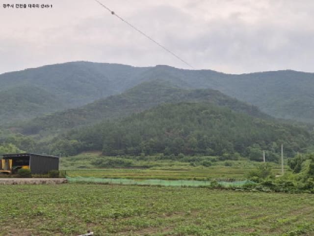 B000312202501300106001.jpg