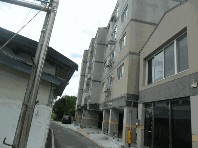 B000312202501300106063.jpg