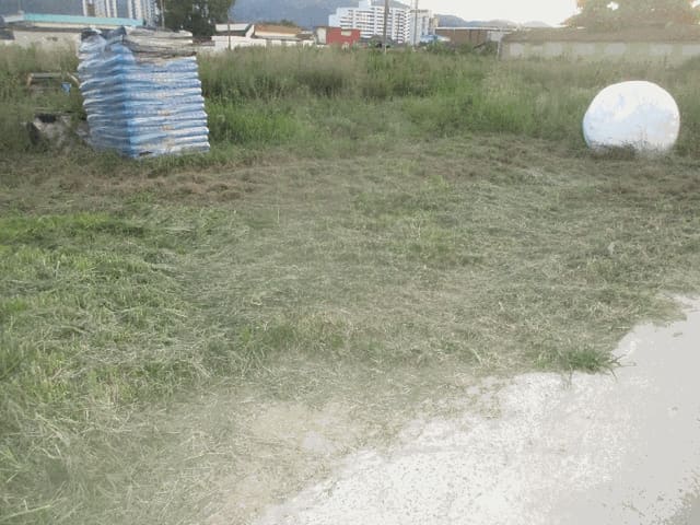B000312202501300106073.jpg