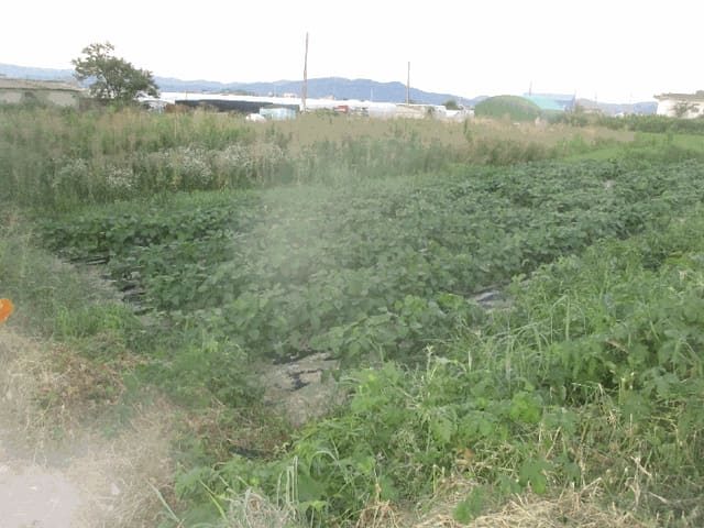 B000312202501300106074.jpg