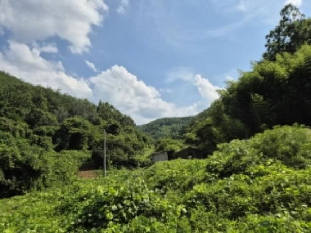 B000312202501300106091.jpg