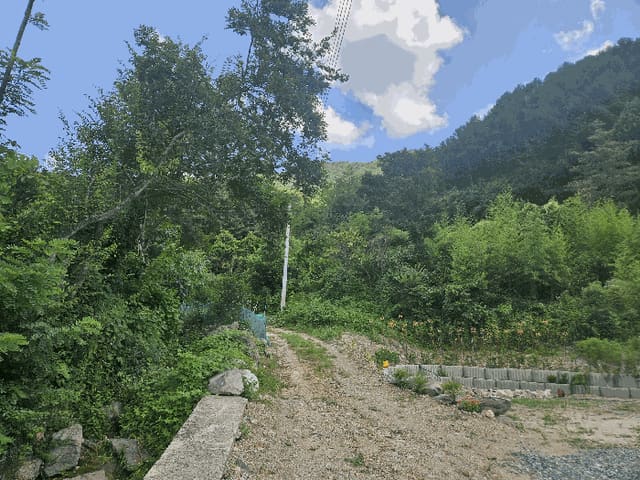 B000312202501300106134.jpg