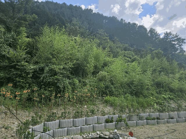 B000312202501300106133.jpg