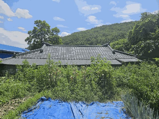 B000312202501300106342.jpg