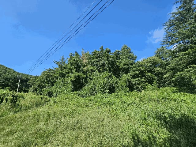 B000312202501300106412.jpg