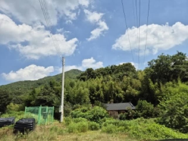 B000312202501300106443.jpg
