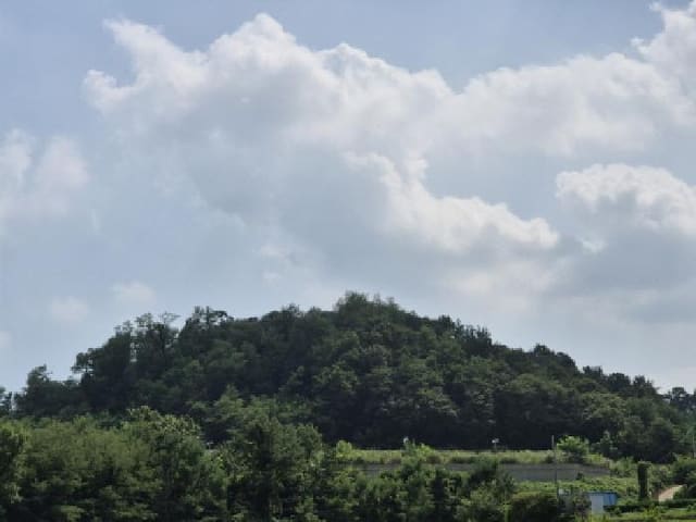 B000312202501300106503.jpg
