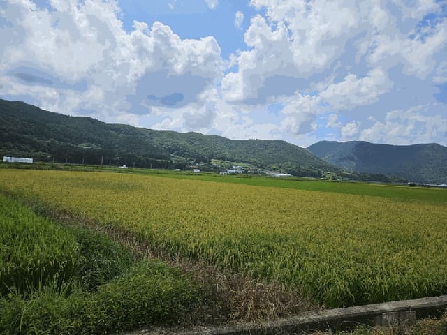 B000312202501300106661.jpg