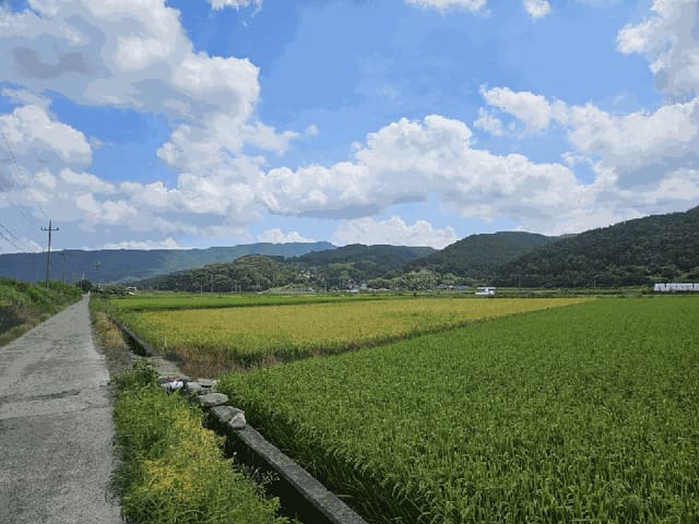 B000312202501300106664.jpg