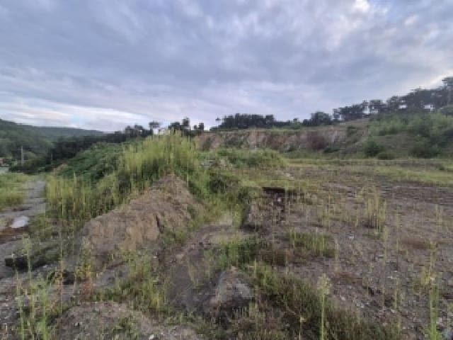 B000312202501300106712.jpg