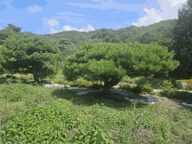 B0003122025013001067318.jpg