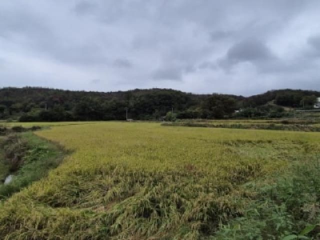 B000312202501300107194.jpg