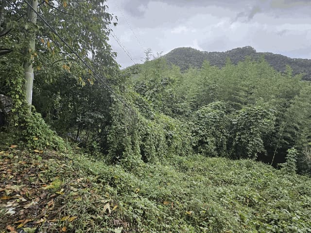 B000312202501300107251.jpg
