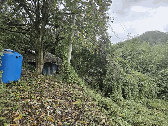 B000312202501300107254.jpg