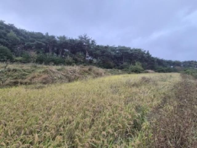 B000312202501300107341.jpg