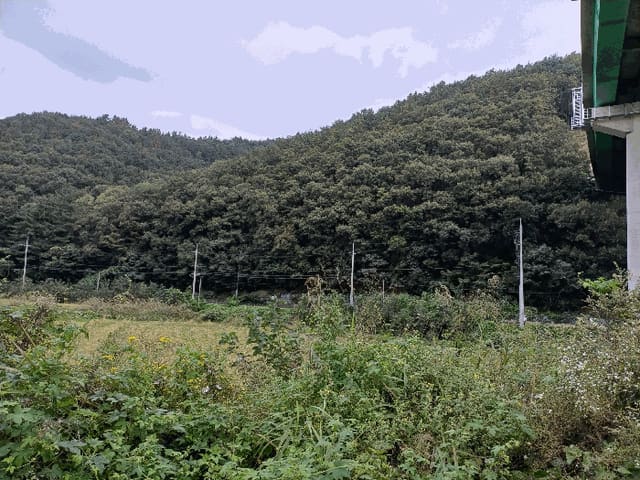 B000312202501300107413.jpg