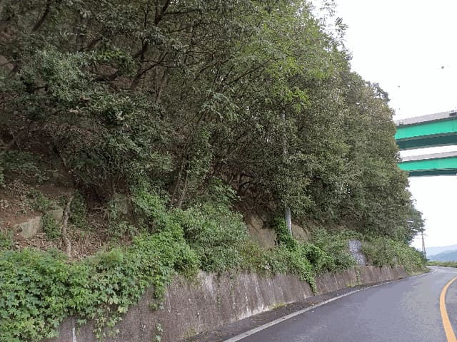 B000312202501300107414.jpg