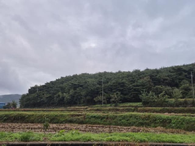 B000312202501300107441.jpg