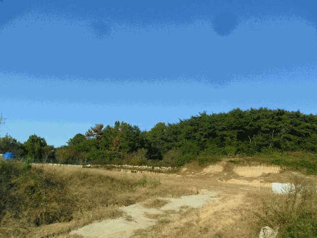 B000312202501300107444.jpg