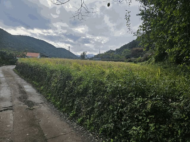 B000312202501300107471.jpg