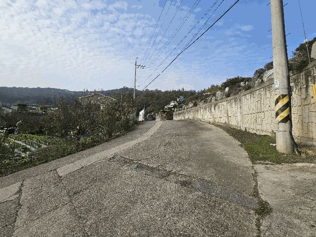 B000312202501300107493.jpg