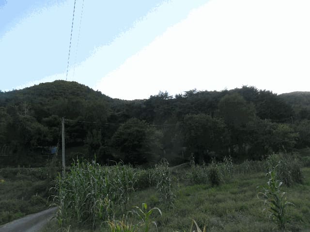 B000312202501300107553.jpg