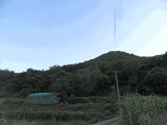 B000312202501300107554.jpg