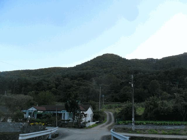 B000312202501300107552.jpg
