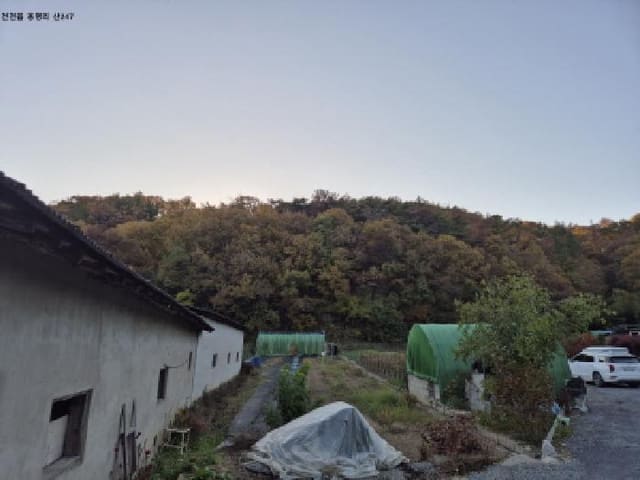 B000312202501300107631.jpg
